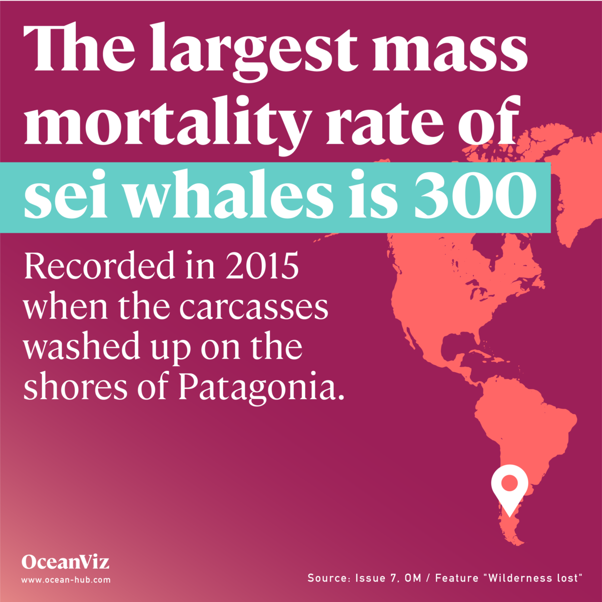 Sei whale mortality