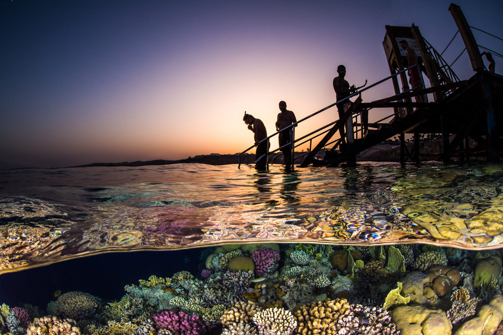 Ocean Photographer of the Year 2022, BP Oceanographic Oceanographic