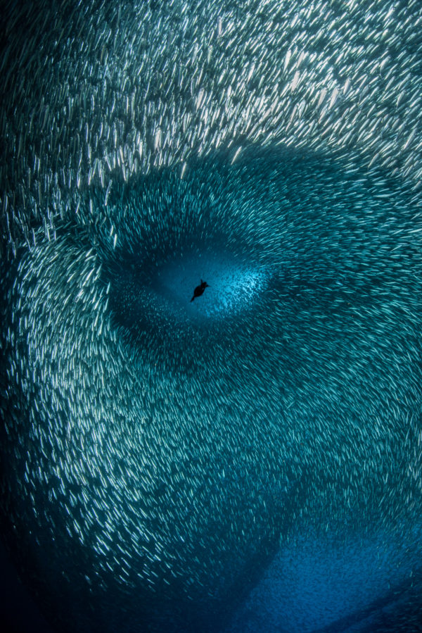 Ocean Photographer of the Year 2022, BP Oceanographic Oceanographic