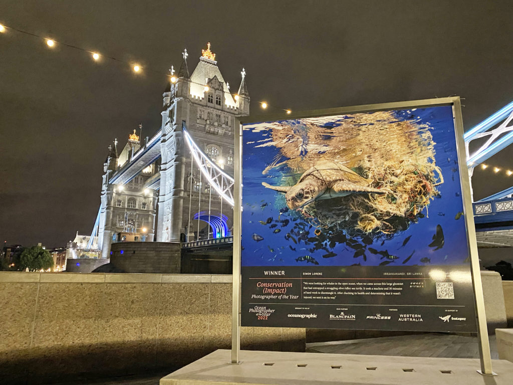 Ocean Photographer of the Year Oceanographic