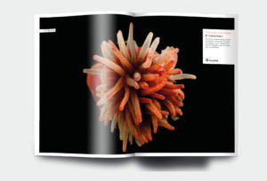 OM_website_ISSUE29_6