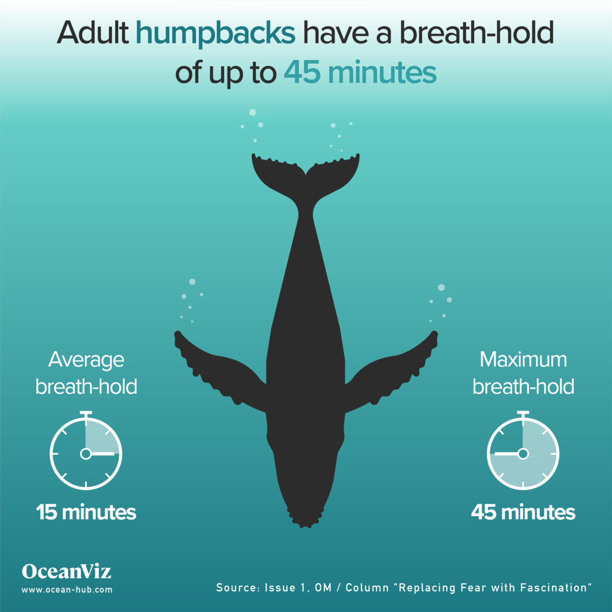Adult humpbacks breath-hold