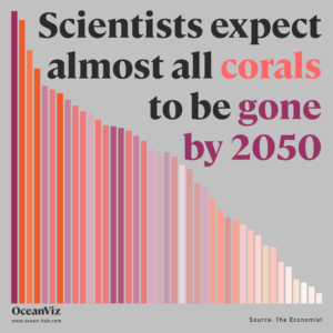 Scientists expect almost all corals to be gone by 2050