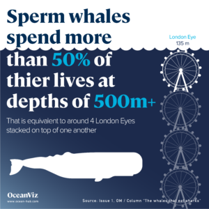Sperm whale depth shown next to London eye