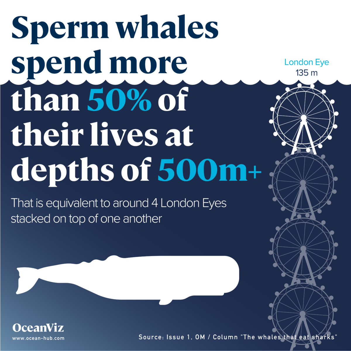 Sperm whales spend much their lives at depths of 500m