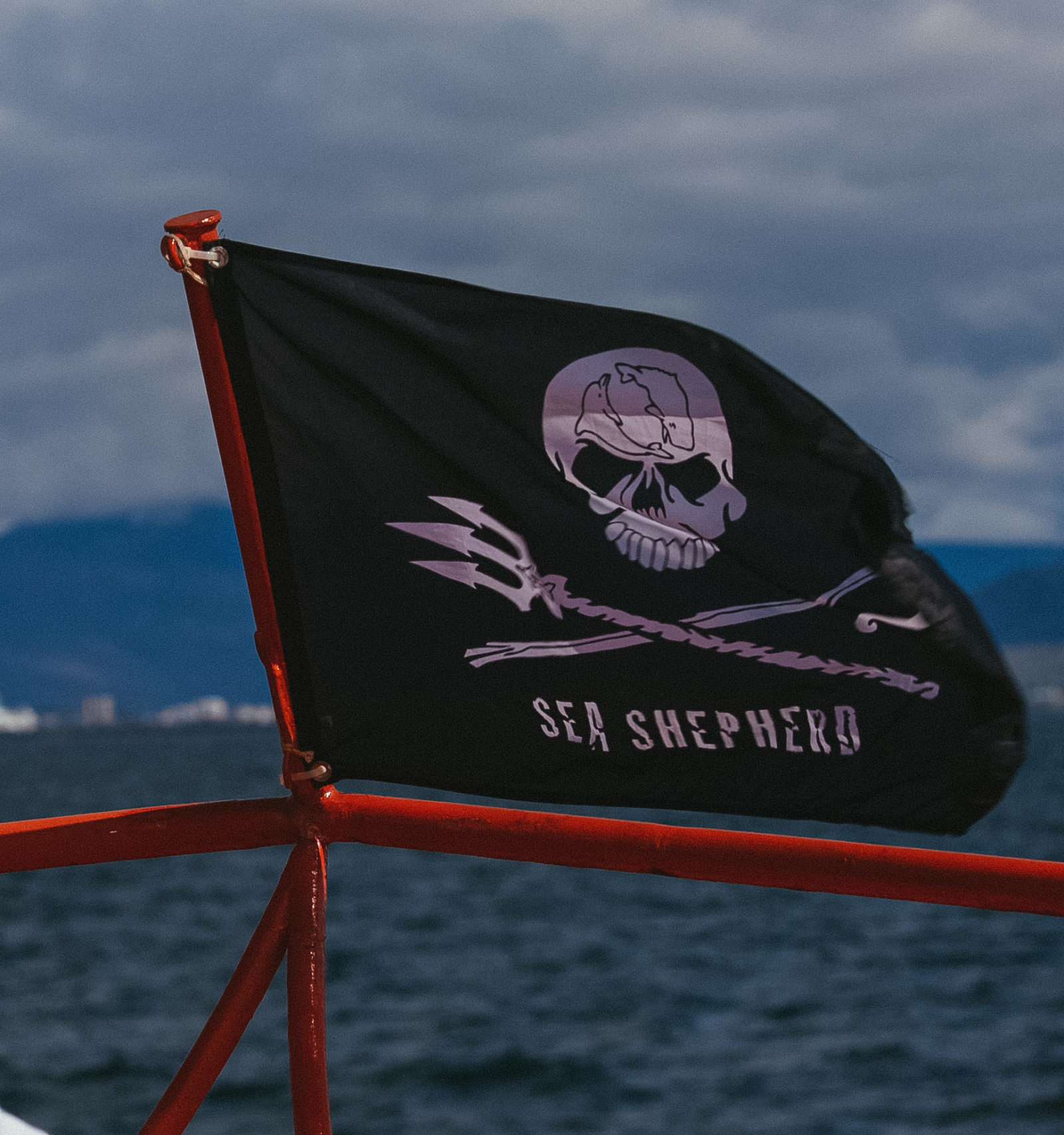 Sea Shepherd aproaching the Hvalur whaling ship after a hunt -  Oceanographic - Oceanographic