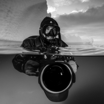 Ocean Wildlife Photographer of the Year 2023, SP