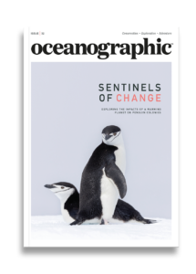 Issue 32 