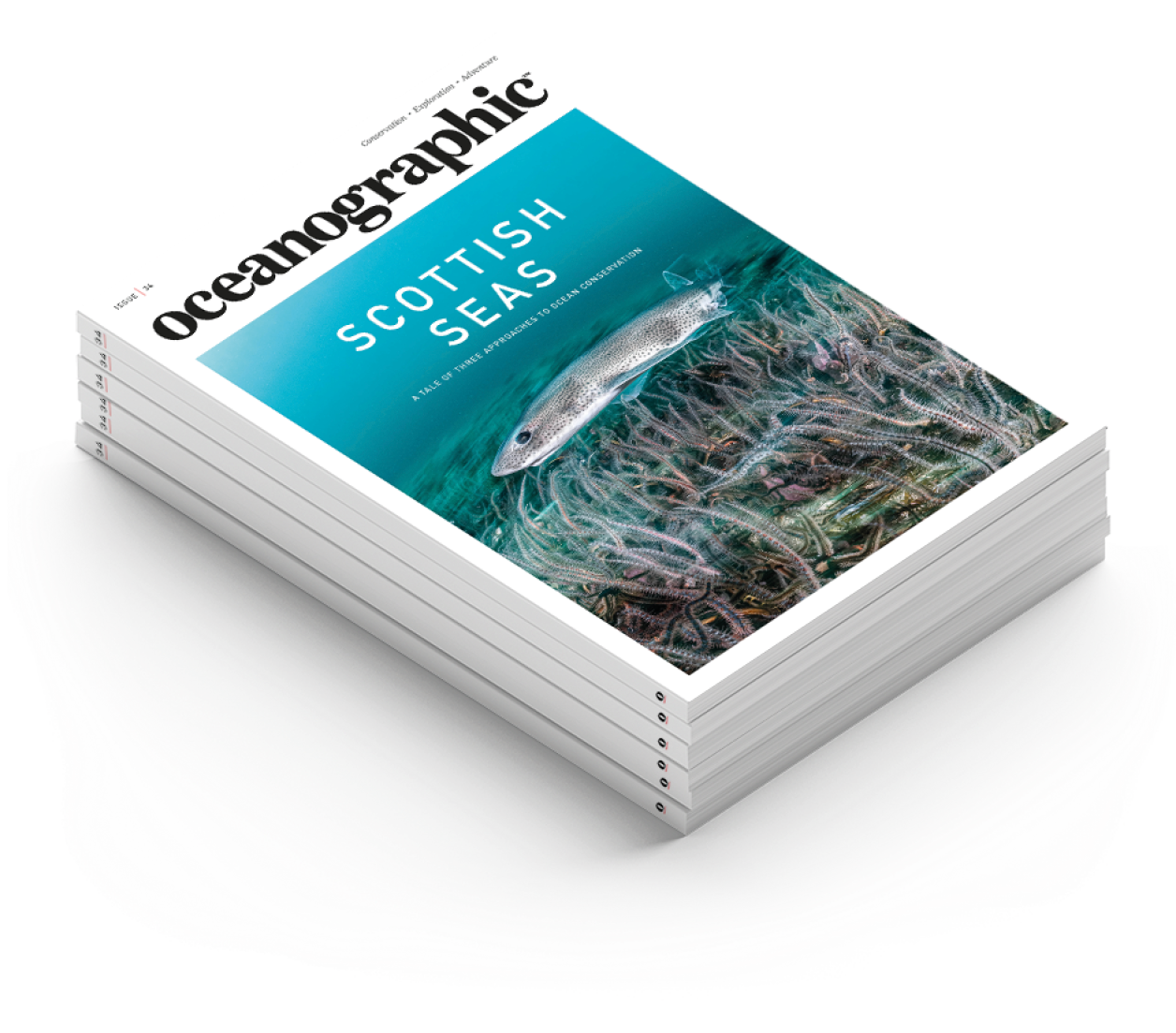 Print only Oceanographic Oceanographic